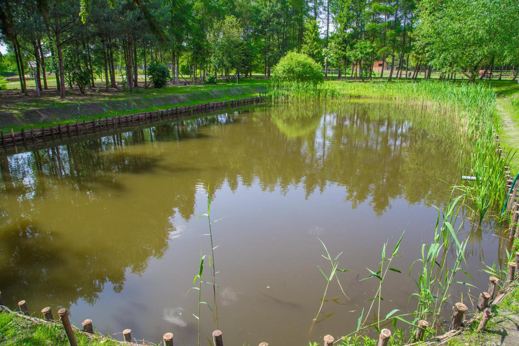 Agroturystyka Olszynka Skopanie Esterno foto